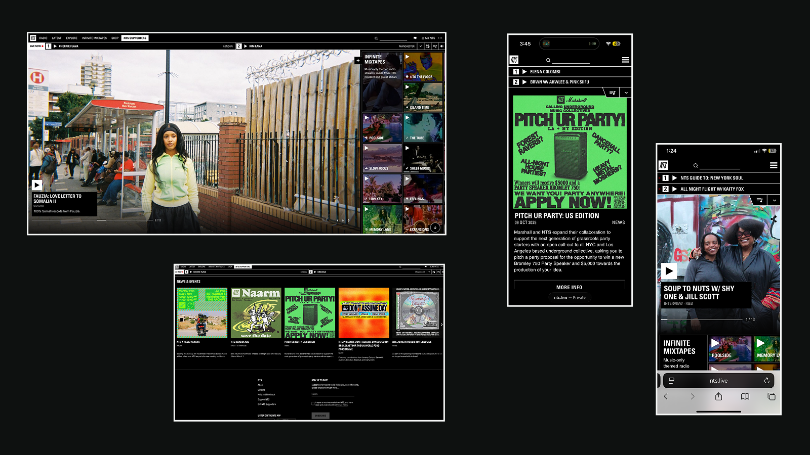 NTS research slide